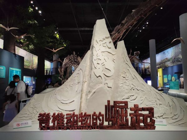 亿鑫网 国家自然博物馆2025年“博物馆之夜”开启