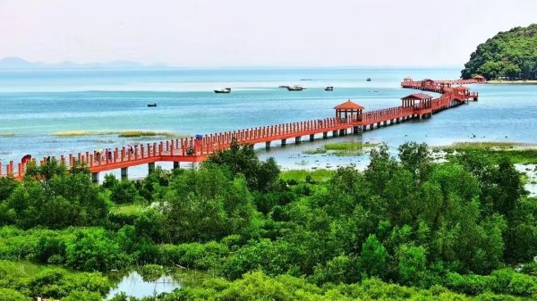 九连阳 广东绿色家底“长”出惠民新动能