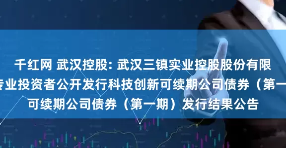 千红网 武汉控股: 武汉三镇实业控股股份有限公司2025年面向专业投资者公开发行科技创新可续期公司债券（第一期）发行结果公告